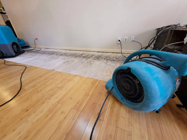 Reliable Basement Flood Cleanup contractor in Beaumont, CA by Hirex Water Damage
