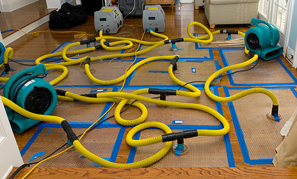Professional Basement Flood Cleanup technician working in Beaumont, CA